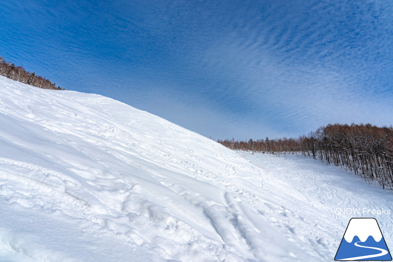 札幌藻岩山スキー場｜ふわっふわの粉雪シーズン到来！思いっきり多彩なコースを楽しみましょう！